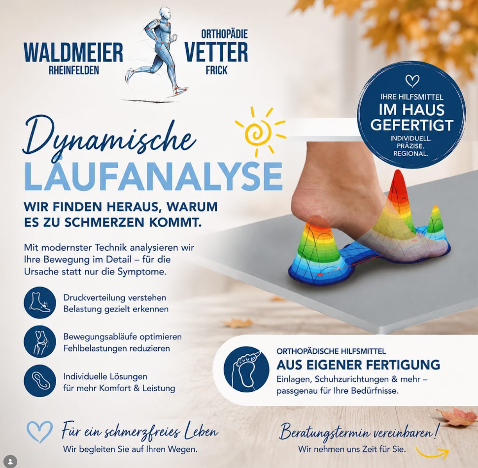 Laufanlayseflyer